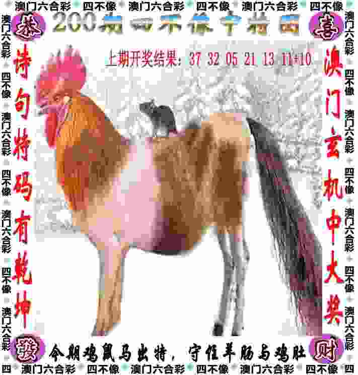 >新门内部资料精准期期