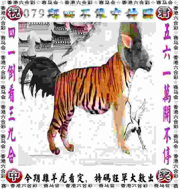 >新门内部资料精准期期